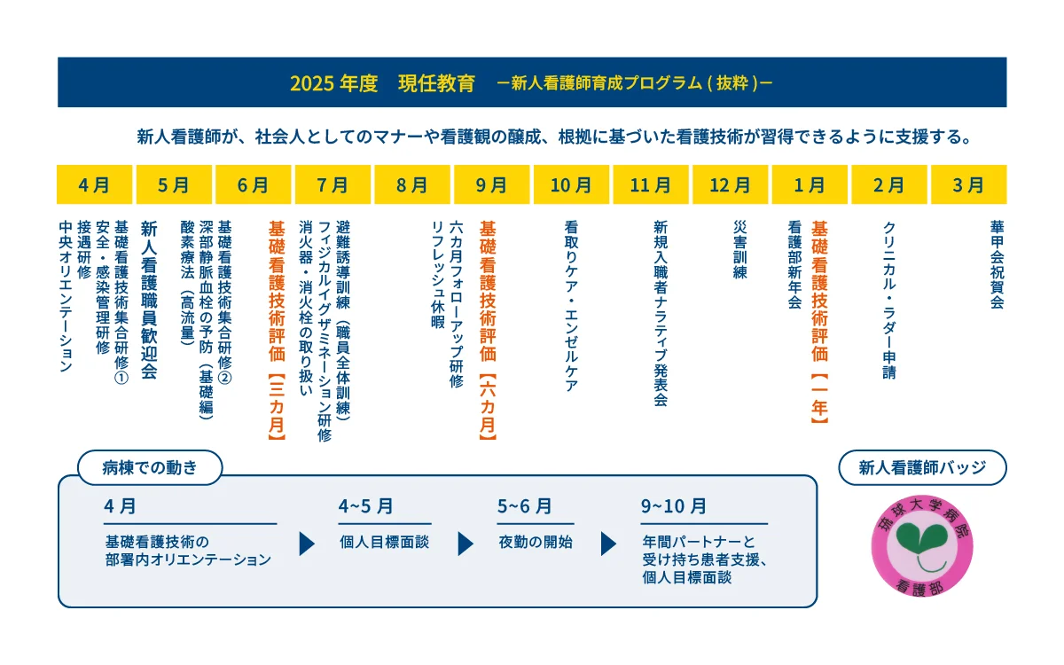 2025年度の新人看護師育成プログラムの年間スケジュール表。月ごとに研修内容が示されており、基礎看護技術評価(3カ月・6カ月・1年)、感染管理、災害訓練、ナラティブ発表会などが含まれる。下部には病棟での動き(オリエンテーション、目標面談、夜勤開始など)と「新人看護師バッジ」が表示されている