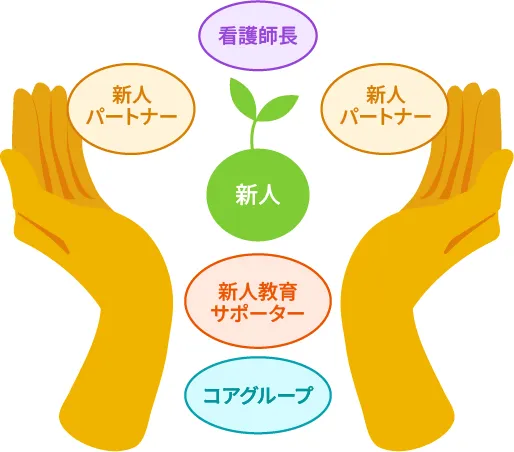 新人看護師を中心に、複数の支援者が関わるサポート体制を表した図